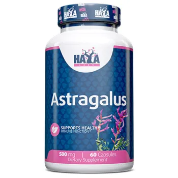 Haya Labs Astragalus 500 mg 60 kapsula